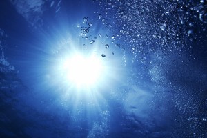 世界游艇挑战赛赛事志愿者交流手册数字化出版，游艇世界官网